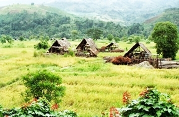 セイロン宝石|パリパナ｜セイロン宝石.com