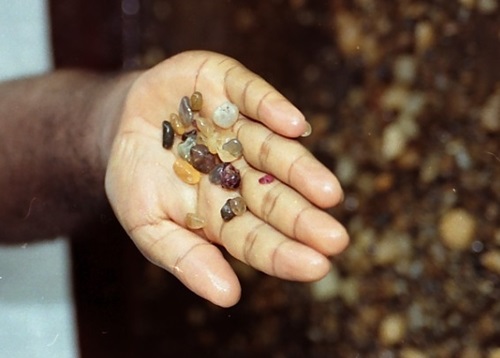 セイロン宝石|パリパナ｜セイロン宝石.com