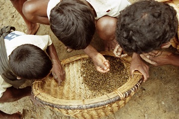 セイロン宝石|パリパナ｜セイロン宝石.com