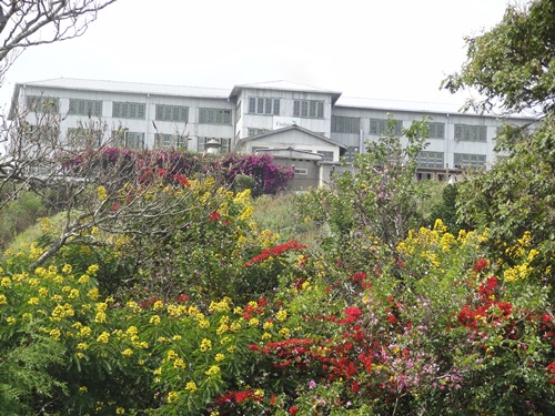 セイロン宝石|パリパナ｜セイロン宝石.com